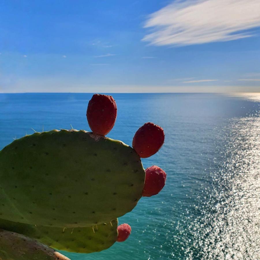La Terrazza Sul Blu Apartment Corniglia Exterior photo
