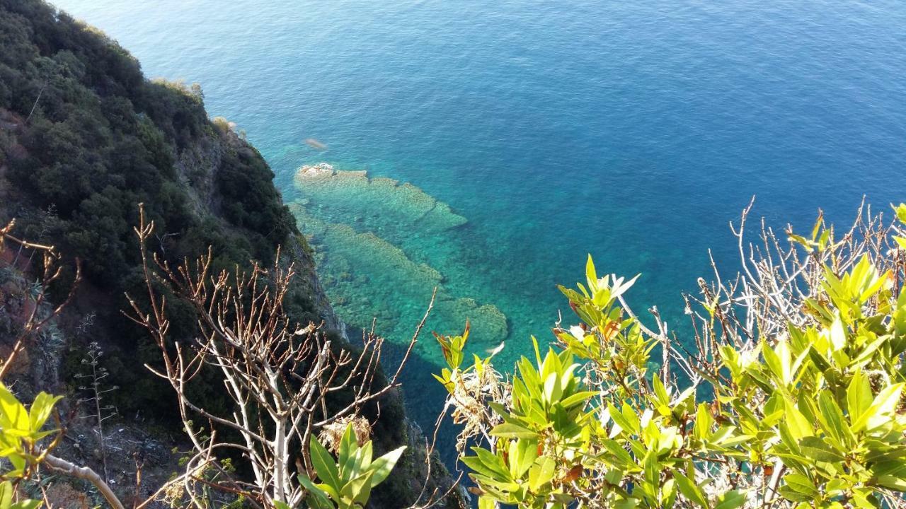 La Terrazza Sul Blu Apartment Corniglia Exterior photo